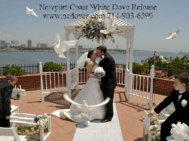 White Dove Release For Weddings & Events - Dove Releases - Huntington Beach, CA - Hero Gallery 3