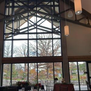 Gallery Photo 152
