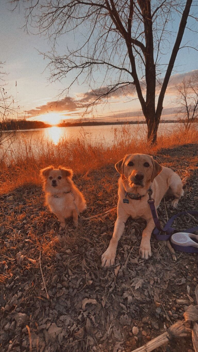 Our fur babies Sadie & Opal! :)