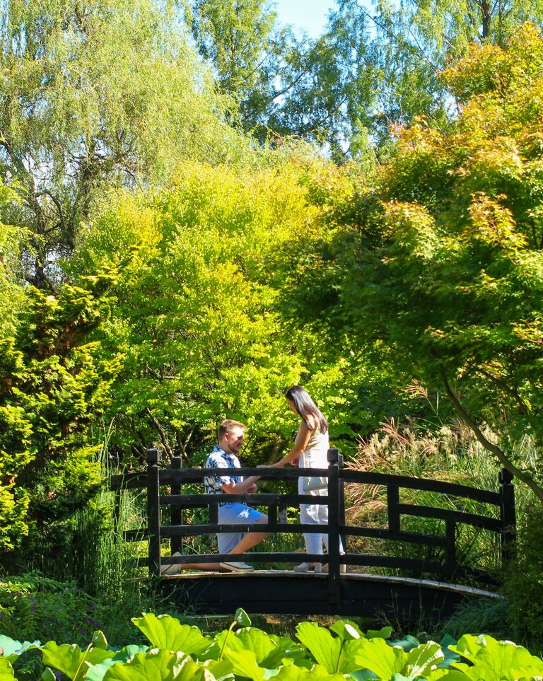 Engaged at Paxson Hill Farm and Gardens!!