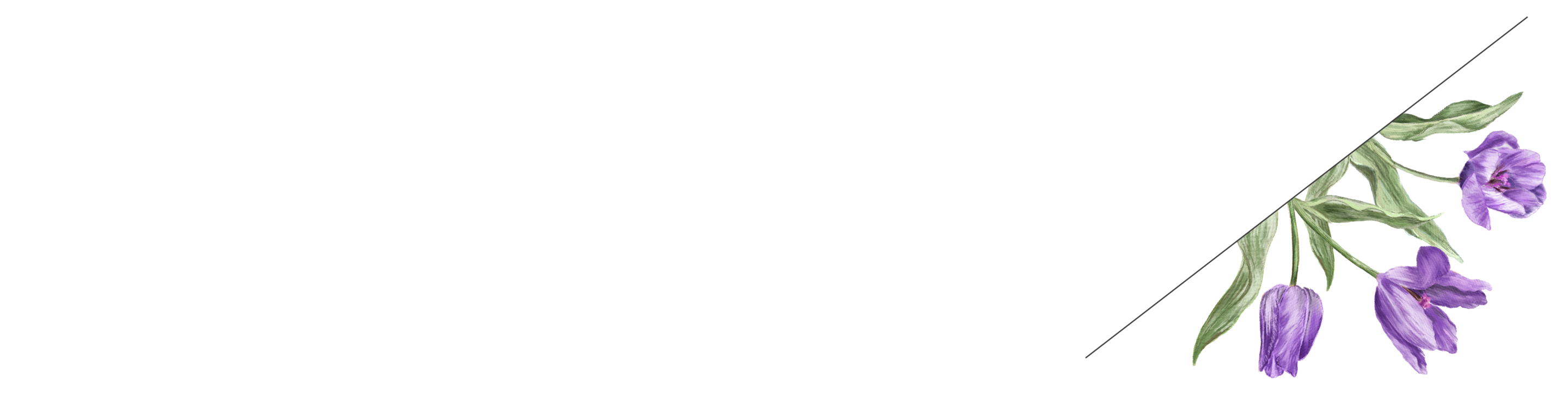 Bottom Theme Image