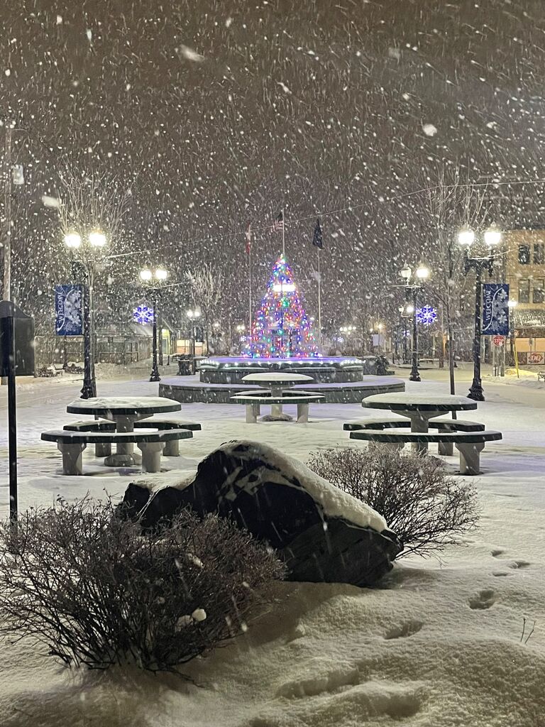 Our first White Christmas in Maine.