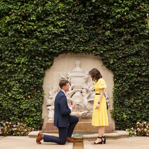 Gallery Photo 22