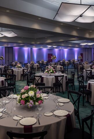 Hilton St. Petersburg Carillon Park | Reception Venues - The Knot