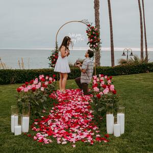 Gallery Photo 4