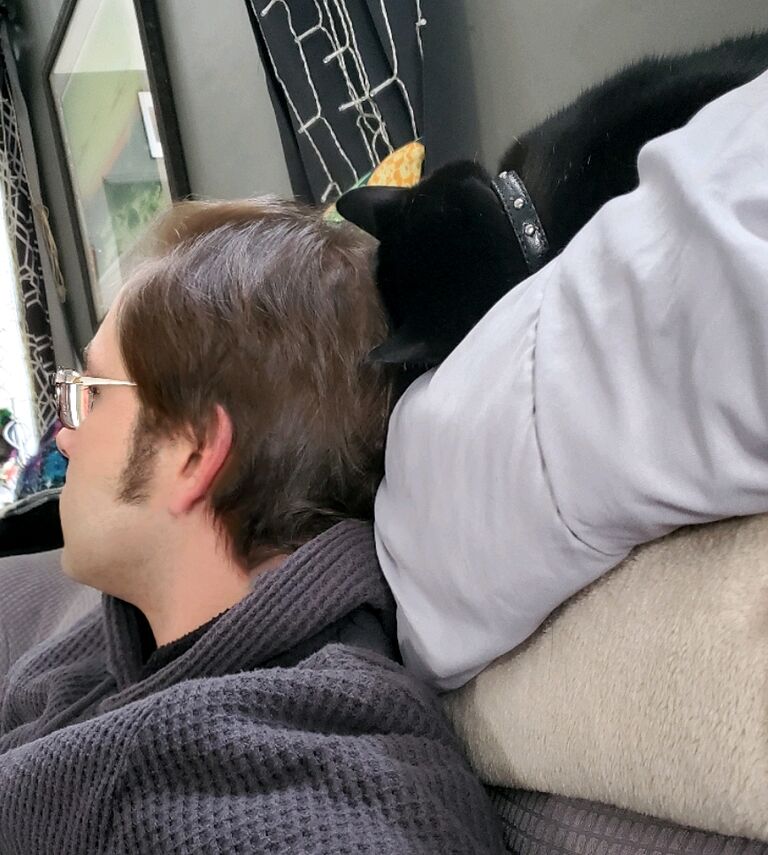 Ozzy Pawsbourne immediately decided Nick was good people 