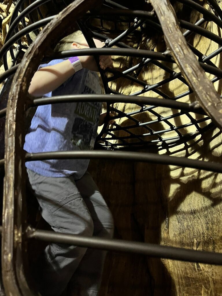 First spring break St. Louis trip! This was Carter's first time at The City Museum and has been asking to go back ever since. 