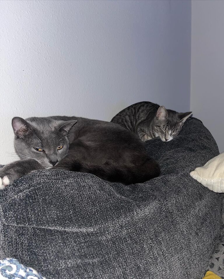 Became a family of 5