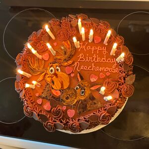 Gallery Photo 21