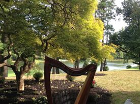 Moon Over the Trees Music and Theatre Productions® - Harpist - Nanuet, NY - Hero Gallery 4