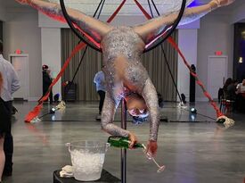 Bambient Arts - Circus Performer - Houston, TX - Hero Gallery 3