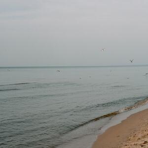 Gallery Photo 216