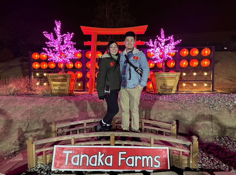 Tanaka Farms presents Christmas Lights! 