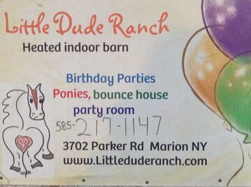 Little Dude Ranch - Pony Rides - Marion, NY - Hero Main