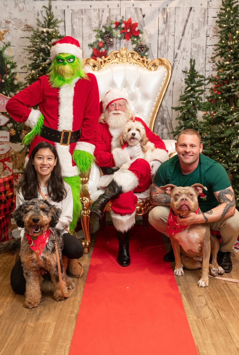 Christmas Card Pictures 