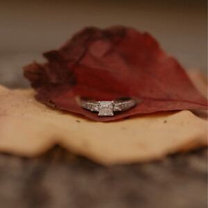 Gallery Photo 5