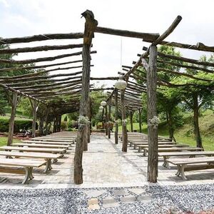 Gallery Photo 3