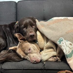 Gallery Photo 35