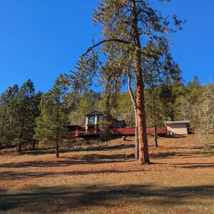 Gallery Photo 4