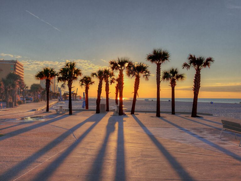Palm trees at the beach during sunset
