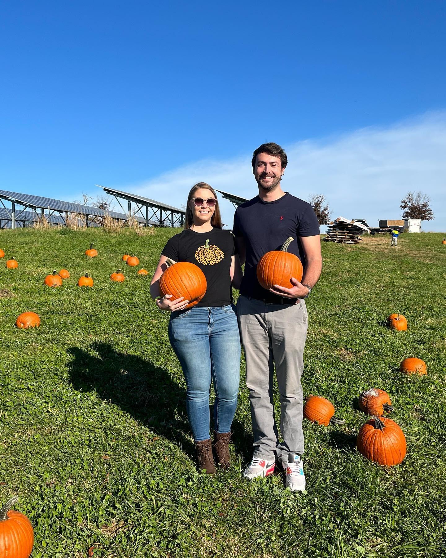 Pumpkin picking