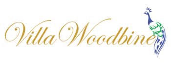 Vendor Logo