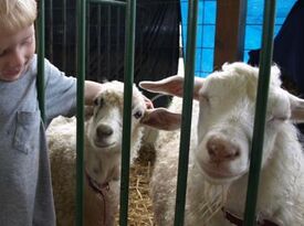 A Farm To You Revue - Petting Zoo - Dunnellon, FL - Hero Gallery 1