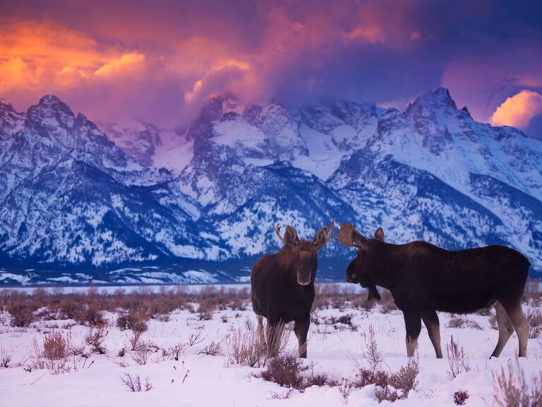 Grand Teton National Park, Wyoming, United States