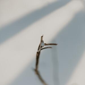 Gallery Photo 28