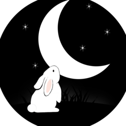 Moon Bunny Events, profile image