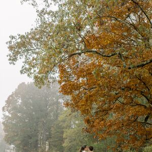 Gallery Photo 20