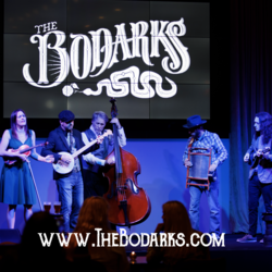 The Bodarks - Americana Band, profile image