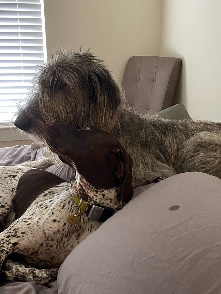 and they became best friends