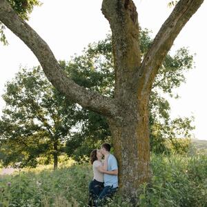 Gallery Photo 22