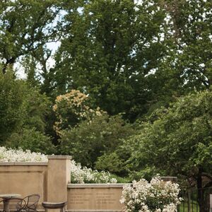 Gallery Photo 28