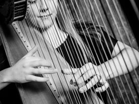 Emily Goins - Harpist - Kokomo, IN - Hero Gallery 2