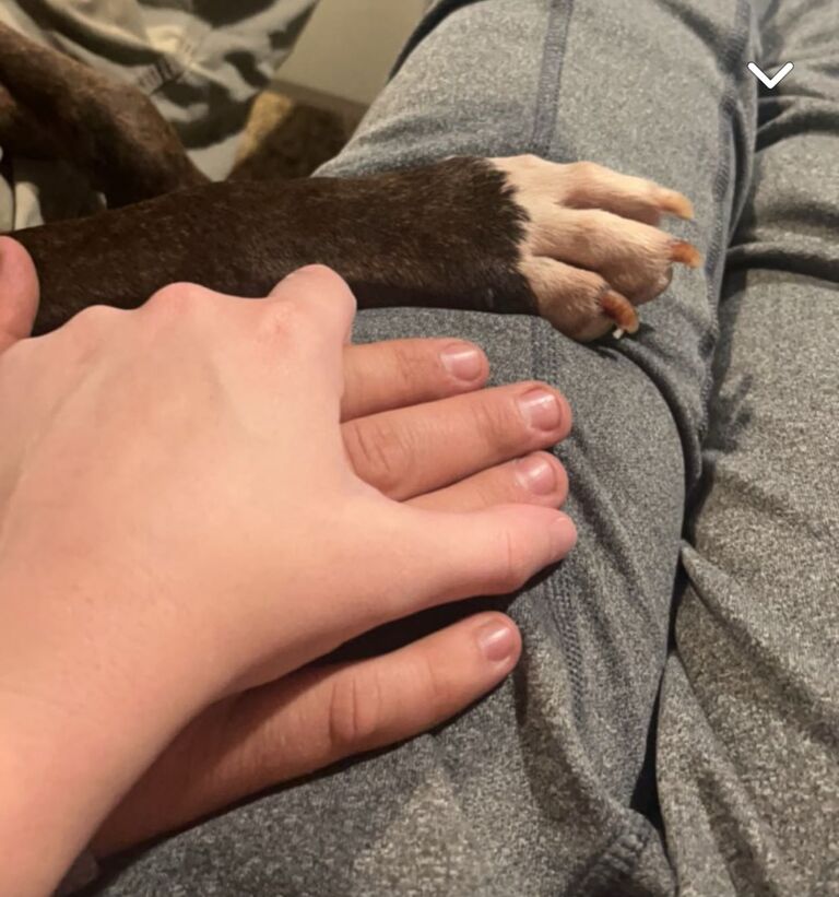 Knoxi approved of our relationship!