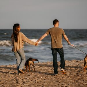 Gallery Photo 43