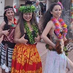 Hawaiian  fire Asian Pacific luau Chinese lion, profile image