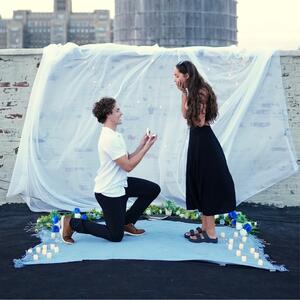 Gallery Photo 8