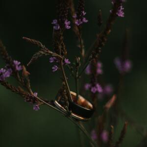 Gallery Photo 33
