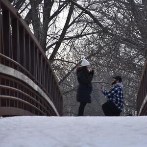 Gallery Photo 5