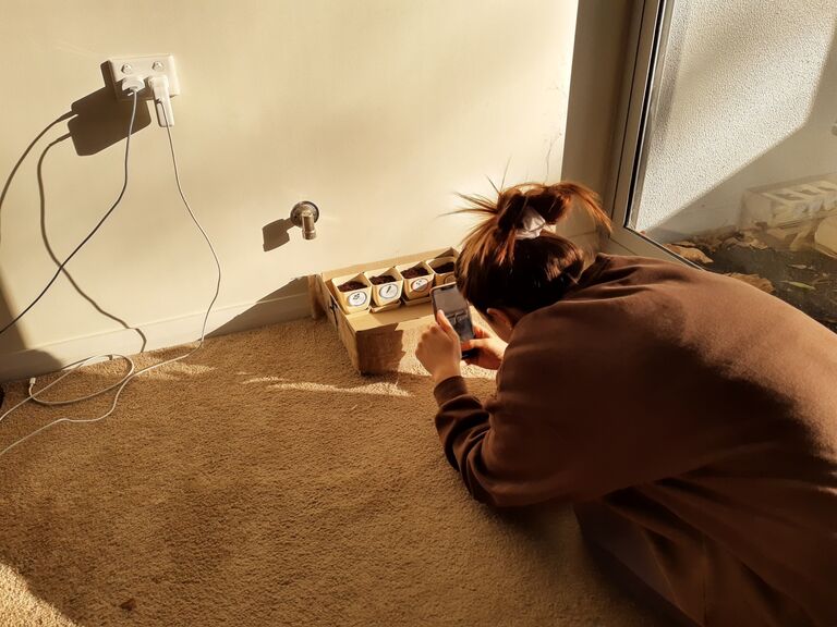 Sydney was plunged into another lockdown, and Belle “temporarily” moved in. Some of our lockdown adventures included trying to grow herbs, David teaching Belle to play soccer in the park, running (bleh), painting and baking. Belle never moved out.