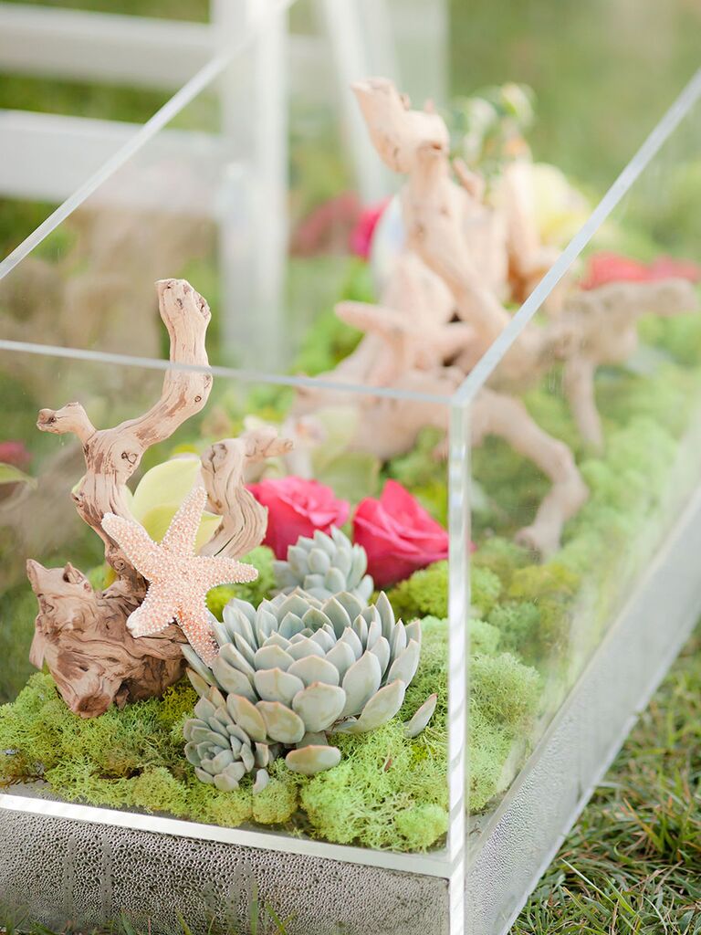 Succulent Centerpiece Ideas