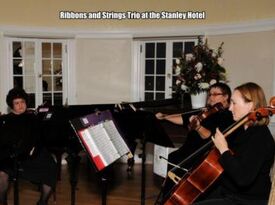 Ribbons & Strings Ensembles: STRINGS, Piano/Other - String Quartet - Denver, CO - Hero Gallery 1