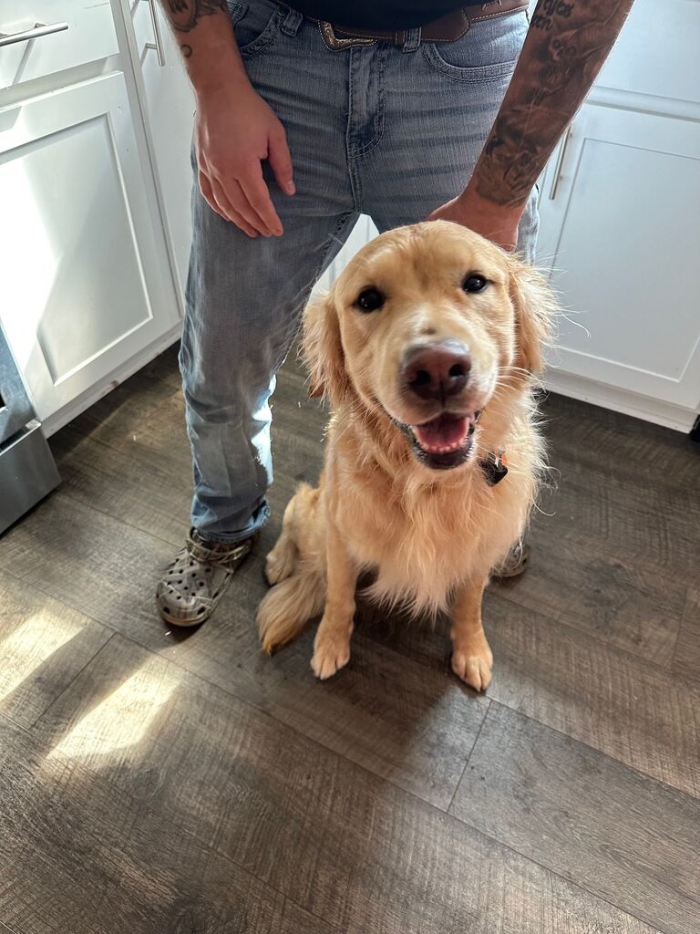 Gotcha day for wild child #2. Meet Woody!
