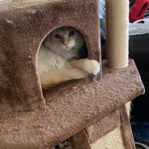 Gallery Photo 27