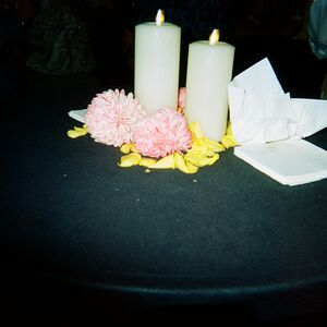 Gallery Photo 170