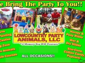 Lowcountry Party Animals, LLC - Pony Rides - Charleston, SC - Hero Gallery 1