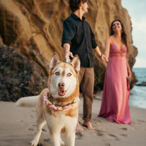 Gallery Photo 21